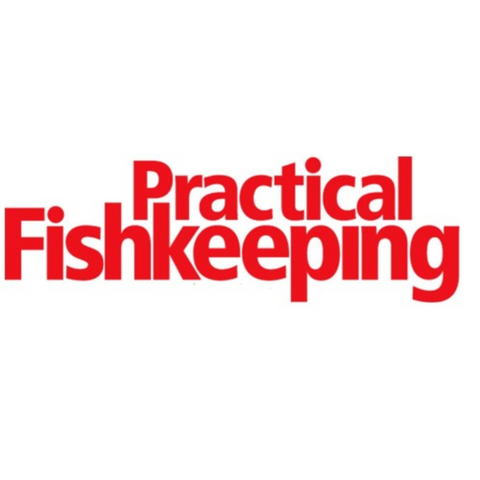 Practical Fishkeeping