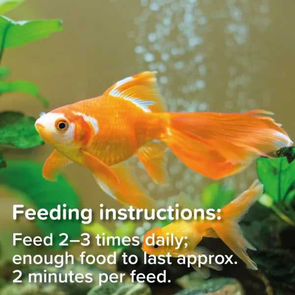 King British Goldfish Flake Fish Food 28/55/200g