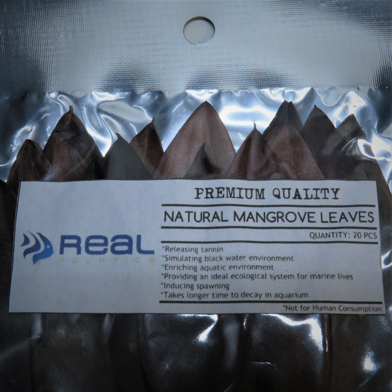 Natural Mangrove Leaves x20