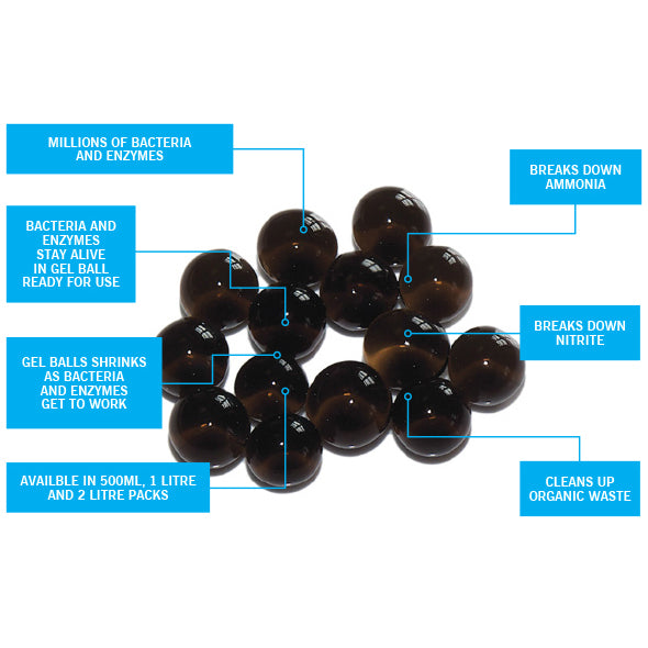 Evolution Aqua Pure Pond Balls 2000ml