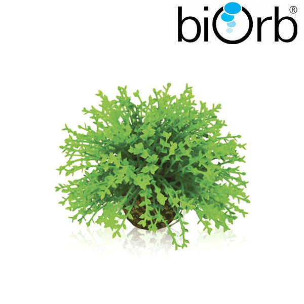 BiOrb Flower Ball Green 46087