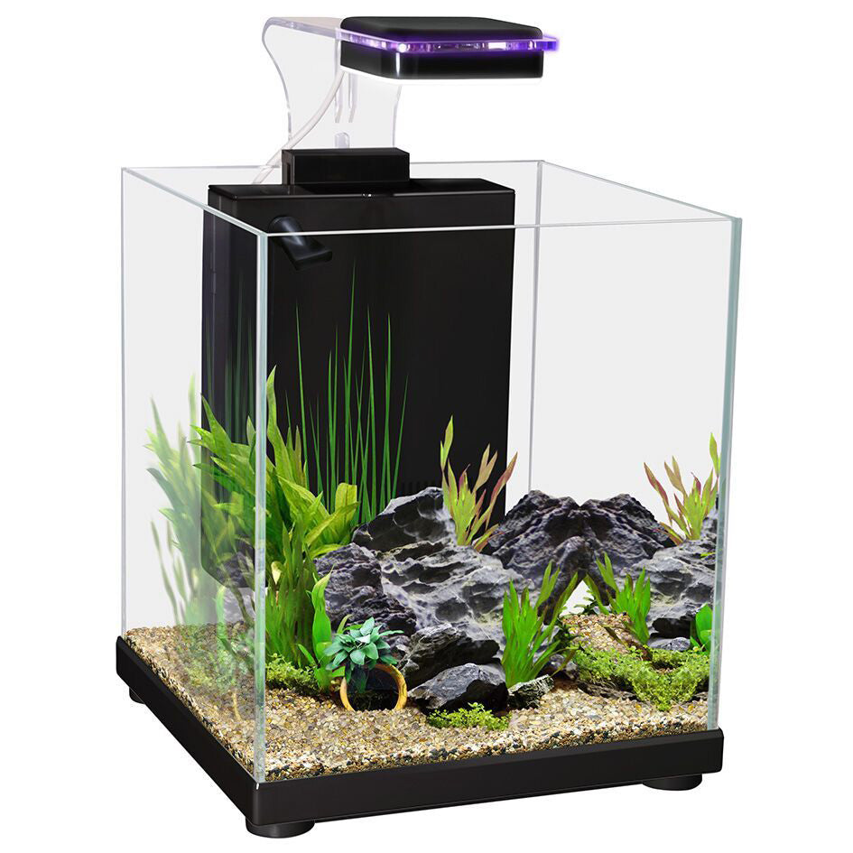 Aqua One Betta Sanctuary Fish Tank Black 10L Real Aquatics