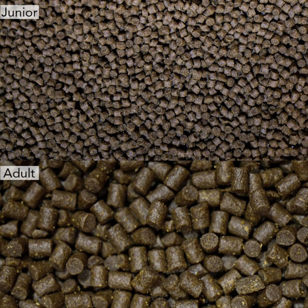 NT Labs Pro-F Axolotl Pellets 3 Sizes