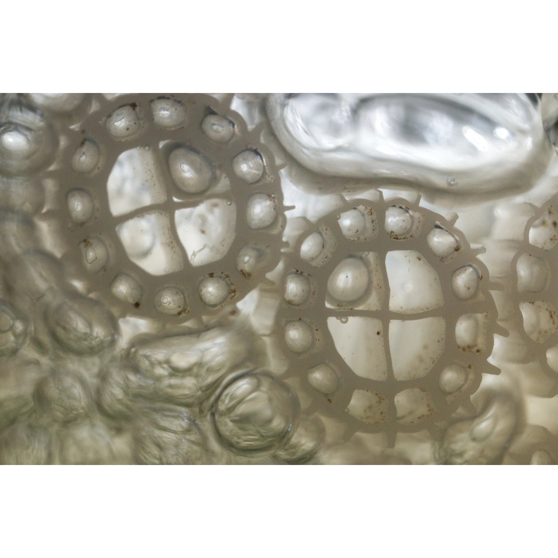 Evolution Aqua K+ Moving Bed Filter Media Floating 25 / 50 / 100L