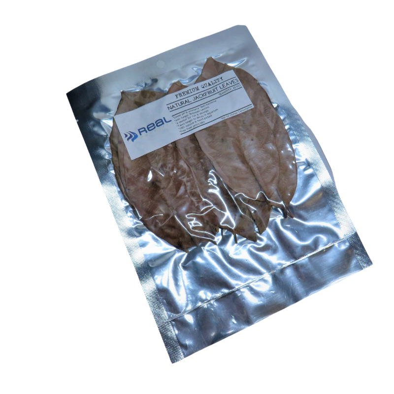 Natural Jackfruit Leaves x20