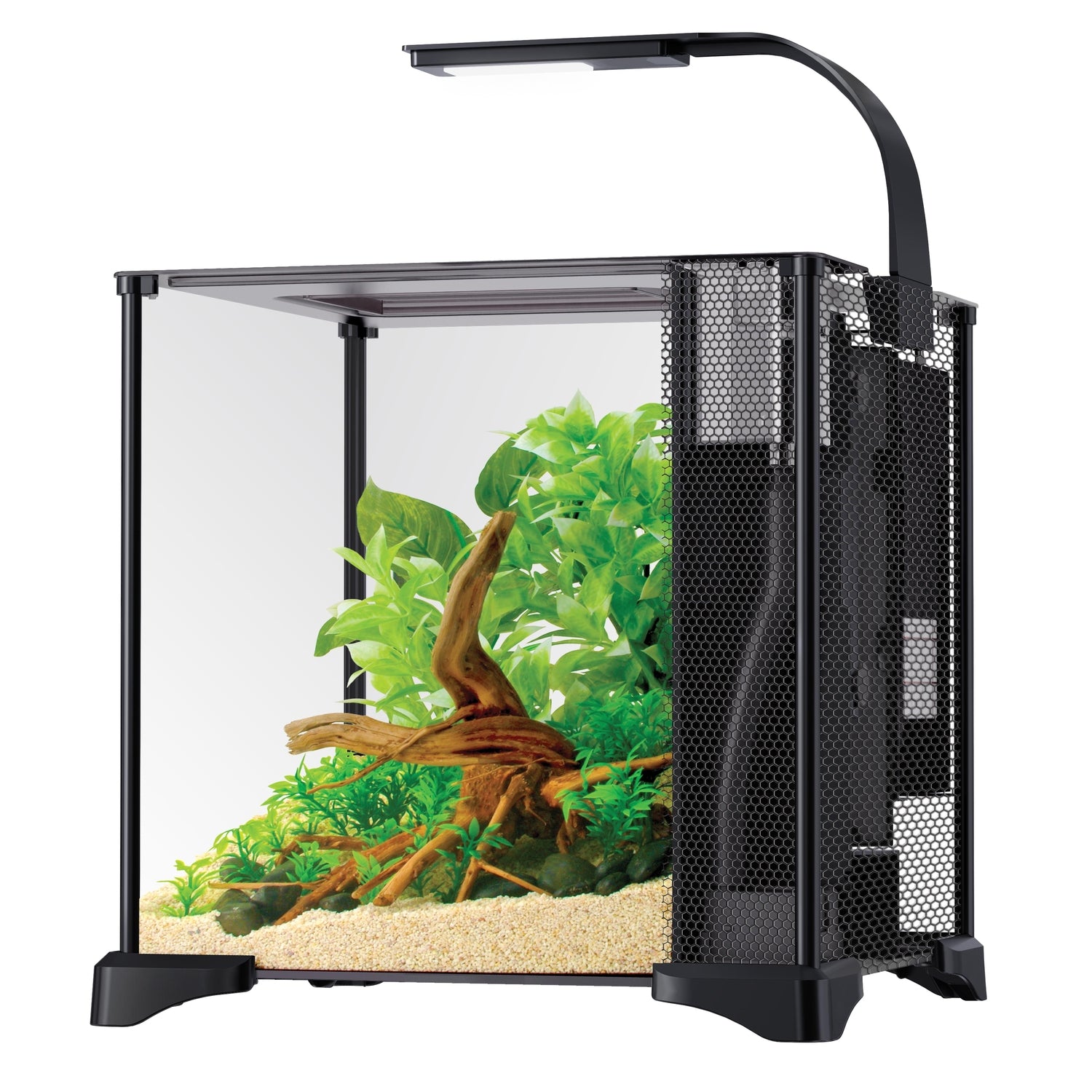 Fluval Betta Premium Aquarium Kit 20L