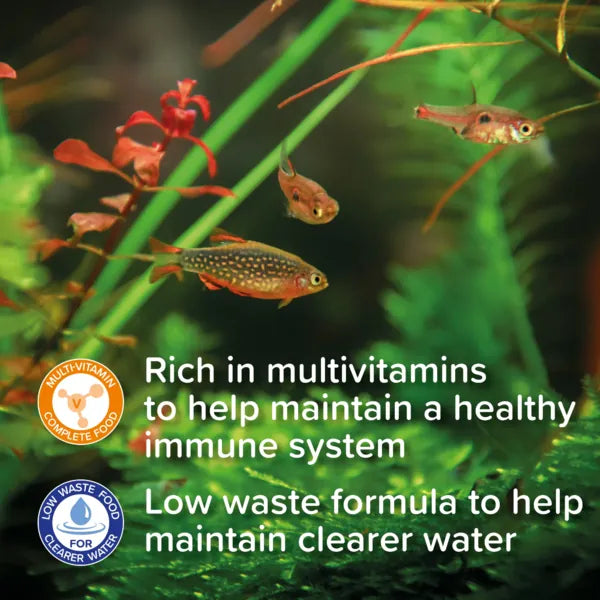 King British Tropical Flake Fish Food 28/55/200g