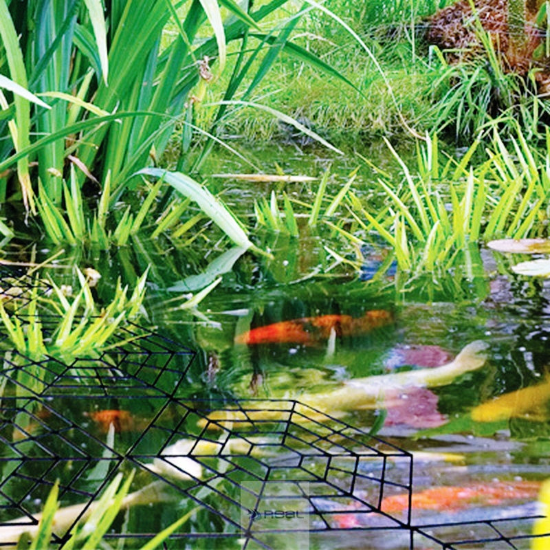 PondXpert Pond Protectors Floating Rings PXPPROT