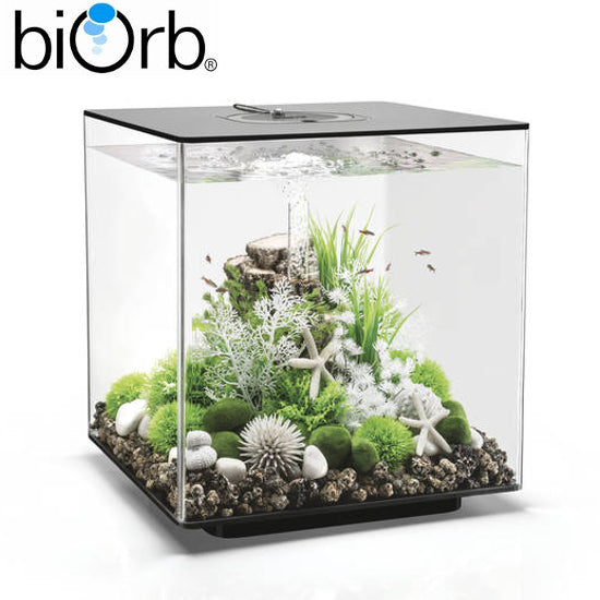 BiOrb Cube 60 Aquarium MCR LED Lighting Black / White / Clear