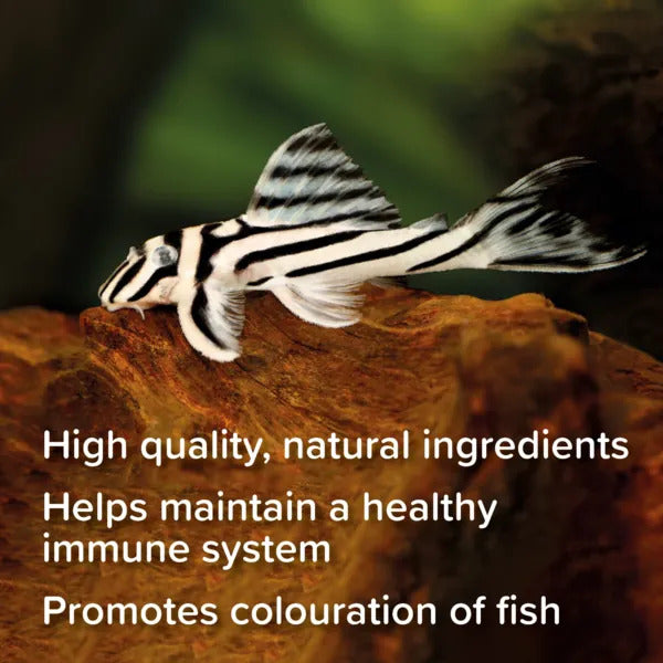 King British Catfish Pellet Fish Food 200/600g