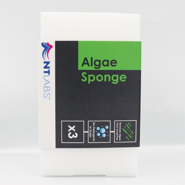 NT Labs ProCare Algae Sponges (pack of 3)