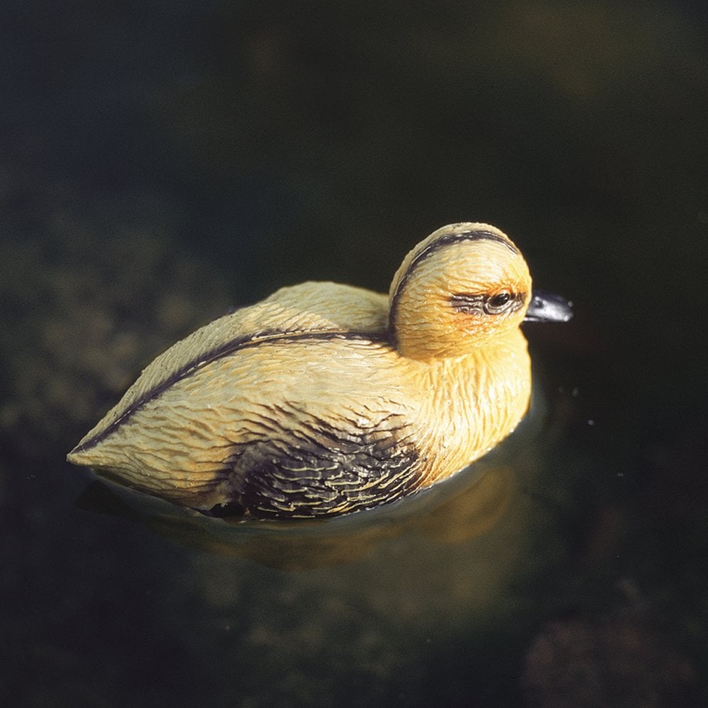 Oase Floating Duckling