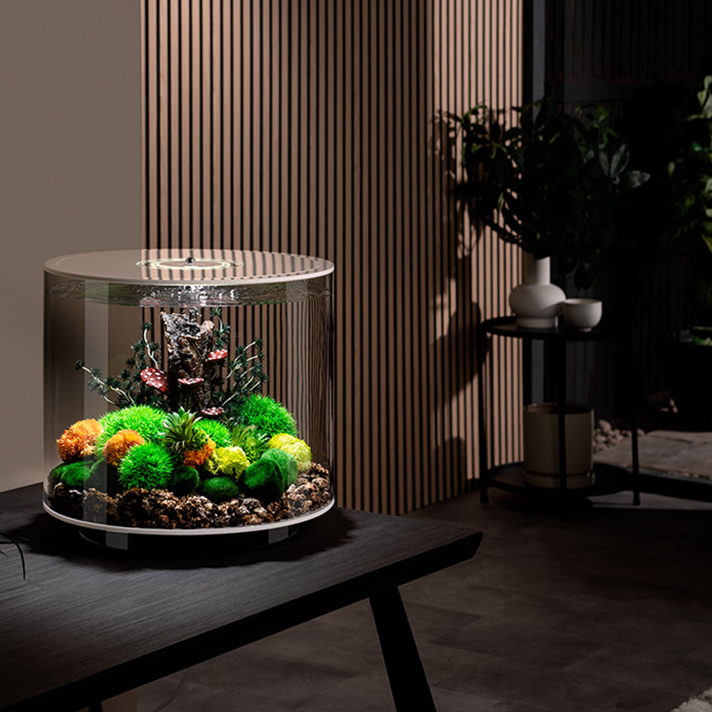 biOrb Tube 35L Aquarium with MCR LED Lighting