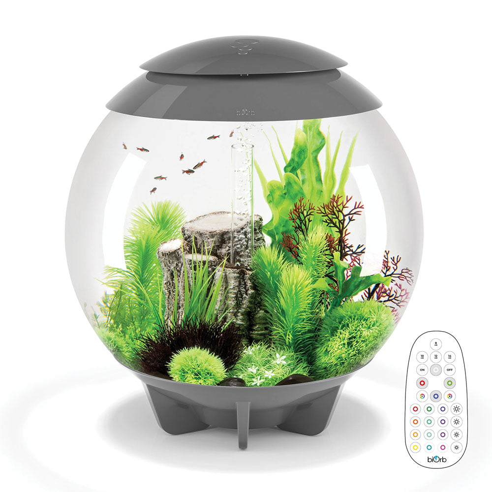 biOrb Halo 60L Aquarium with MCR LED Lighting