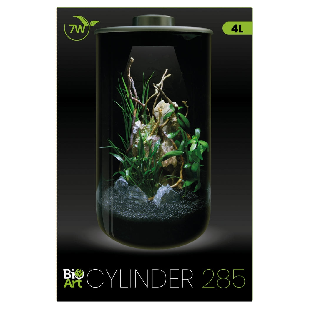 BioArt CYLINDER Terrarium Micro Landscape Black 4L