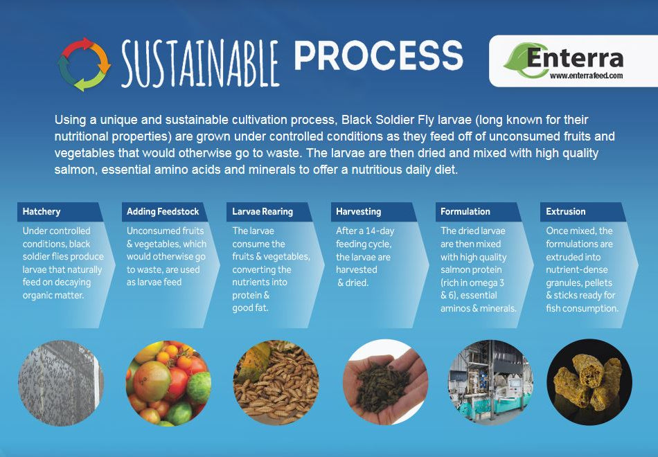 Fluval Bug Bites Insect Formula Fish Food Colour Enhancing 45g