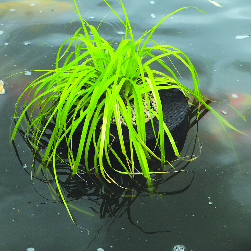 PondXpert Floating Pond Planter Round 25 x 25cm