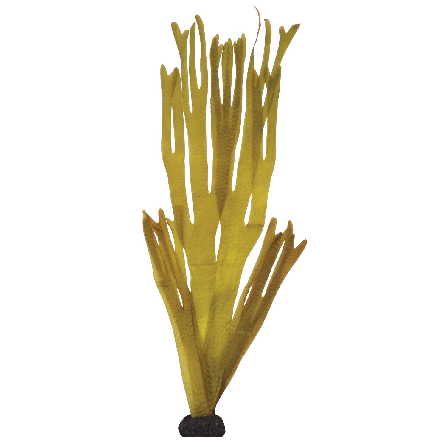 Aqua One Silk Plants Decorscape Laminaria 3 Sizes