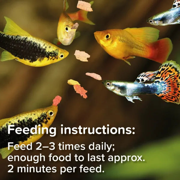 King British Tropical Flake Fish Food 28/55/200g