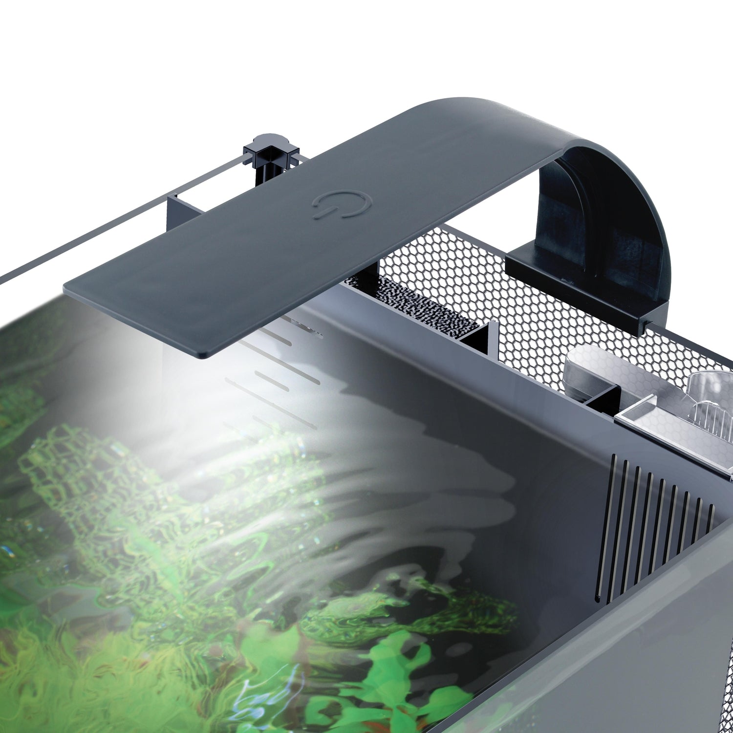 Fluval Betta Premium Aquarium Kit 20L