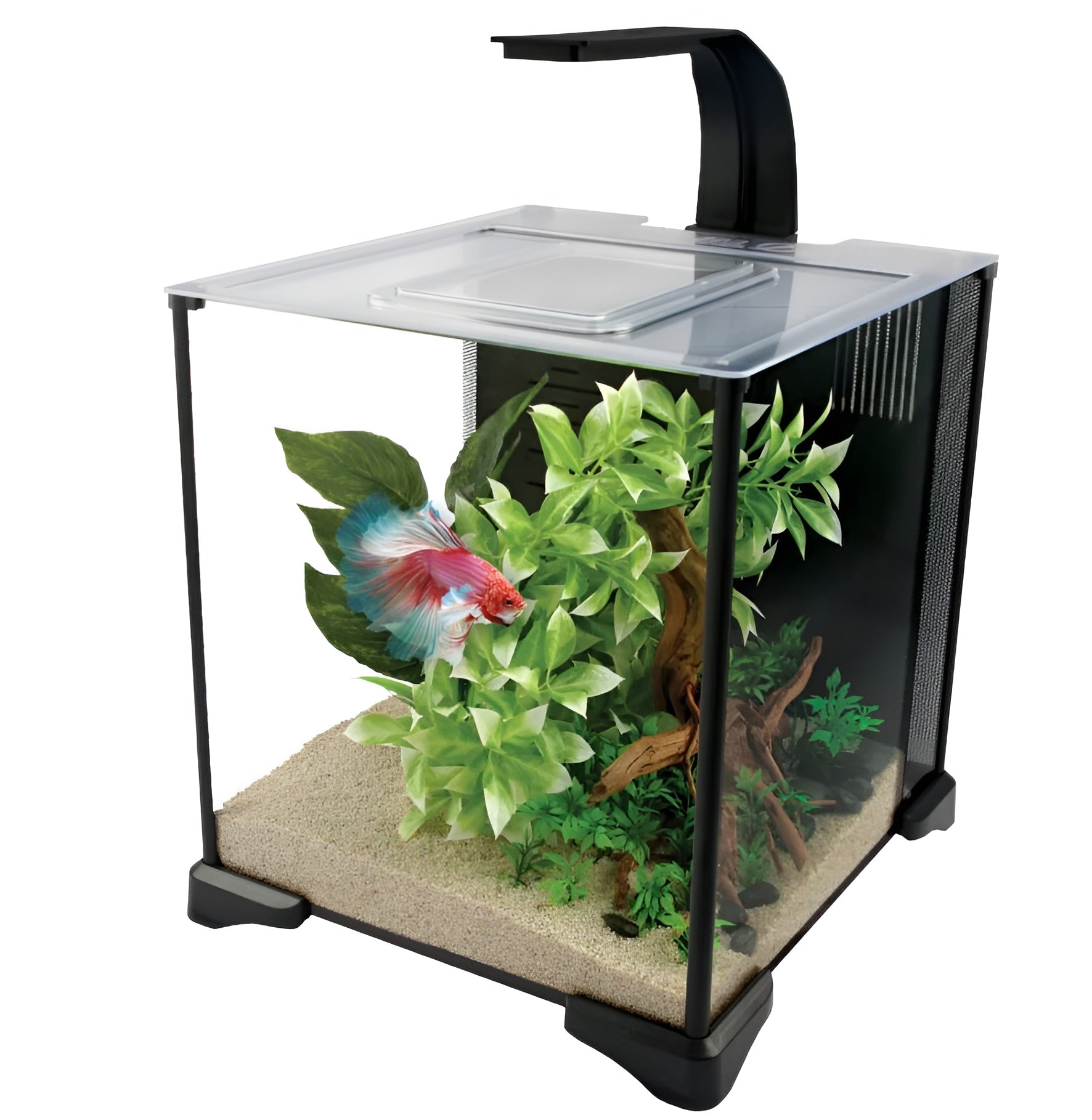 Fluval Betta Premium Aquarium Kit 20L
