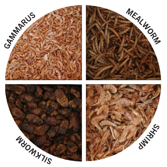 Evolution Aqua Pond Treats 700g