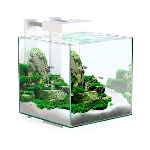 Ciano Shrimp Aquarium Tank NEXUS Pure 15 & Led Lighting 14L