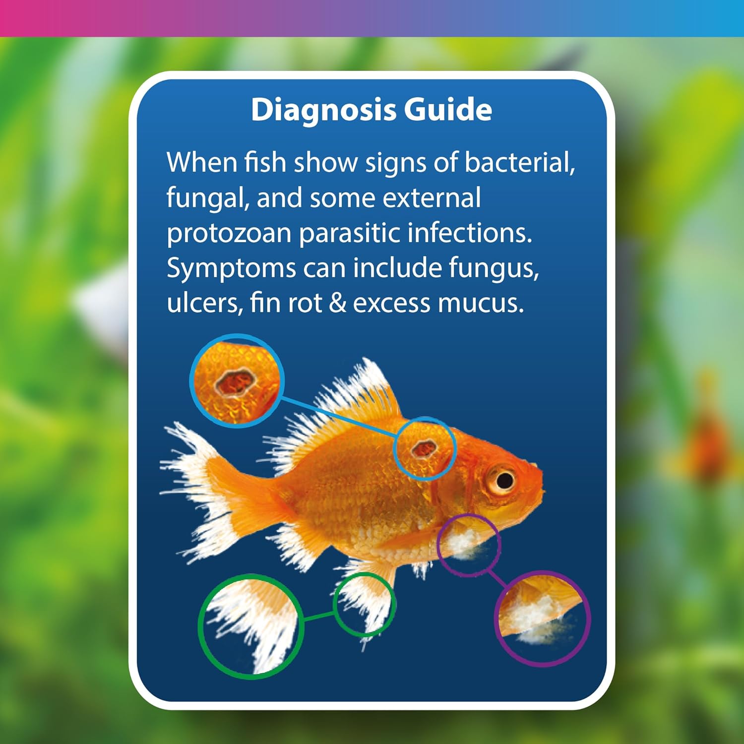 NT Labs Methylene Blue Aquarium Fish Tank Disease Treatment 100ml