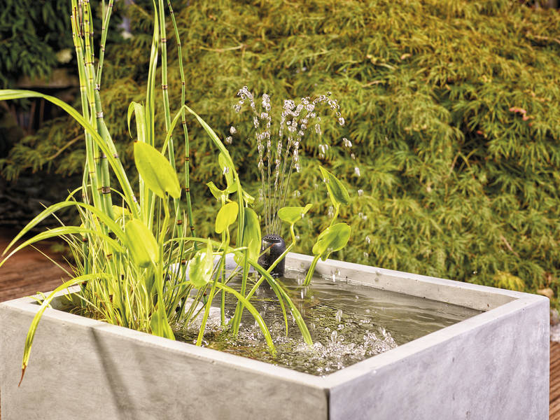 Oase Filtral 1500 All In One Pump Filter UVC with Fountain Kit