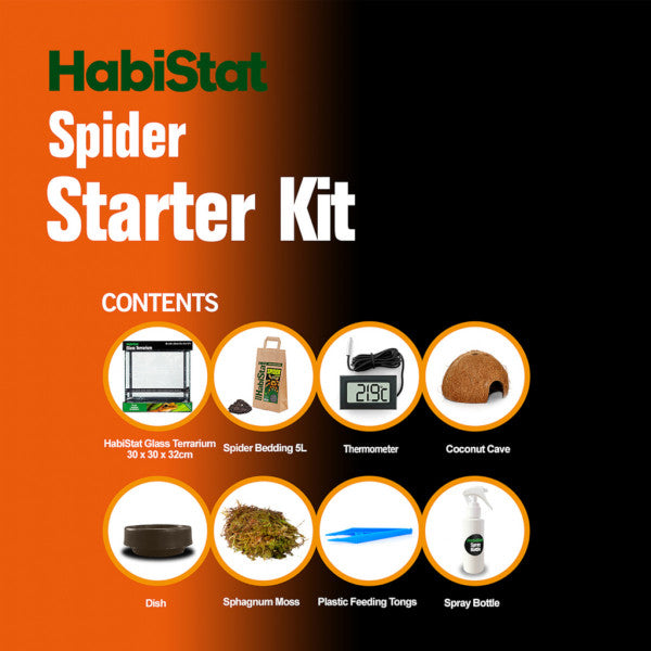 HabiStat Spider Glass Terrarium Complete Starter Kit