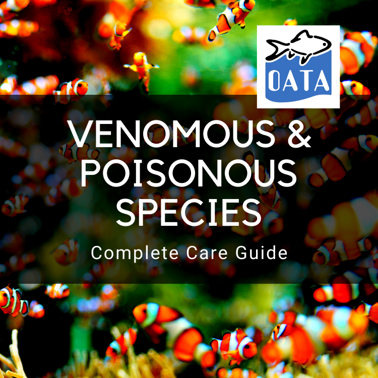 OATA Care Guide: Venomous & Poisonous Species