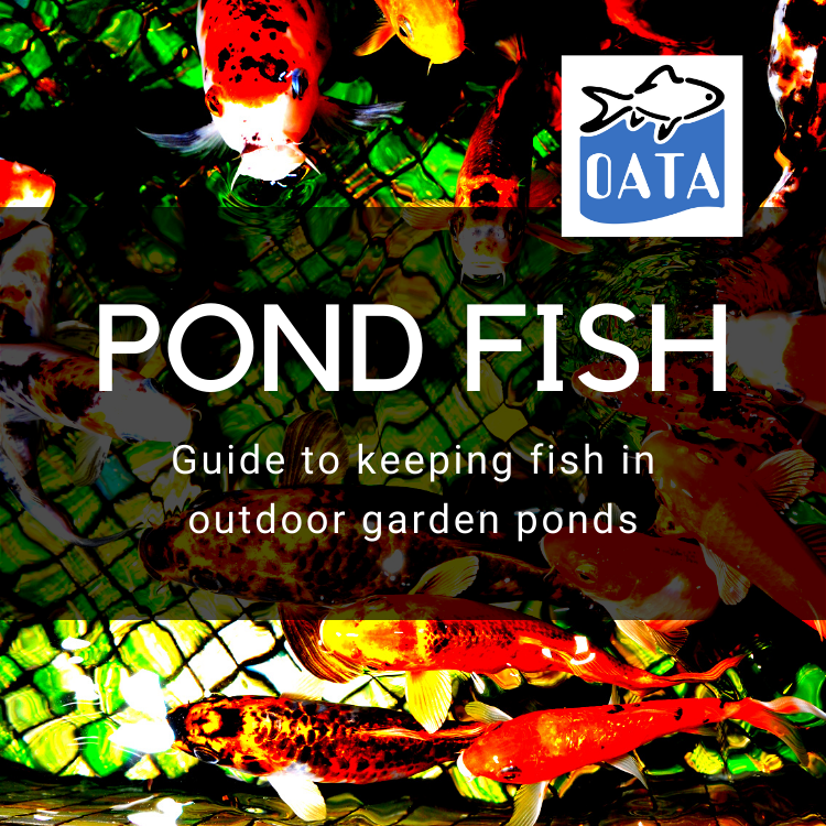 OATA Guide to Keeping Fish in Garden Ponds