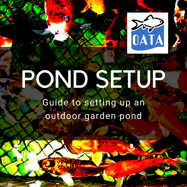 OATA Guide to Setting up a Pond