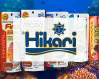 Hikari | Where Science Meets Nature