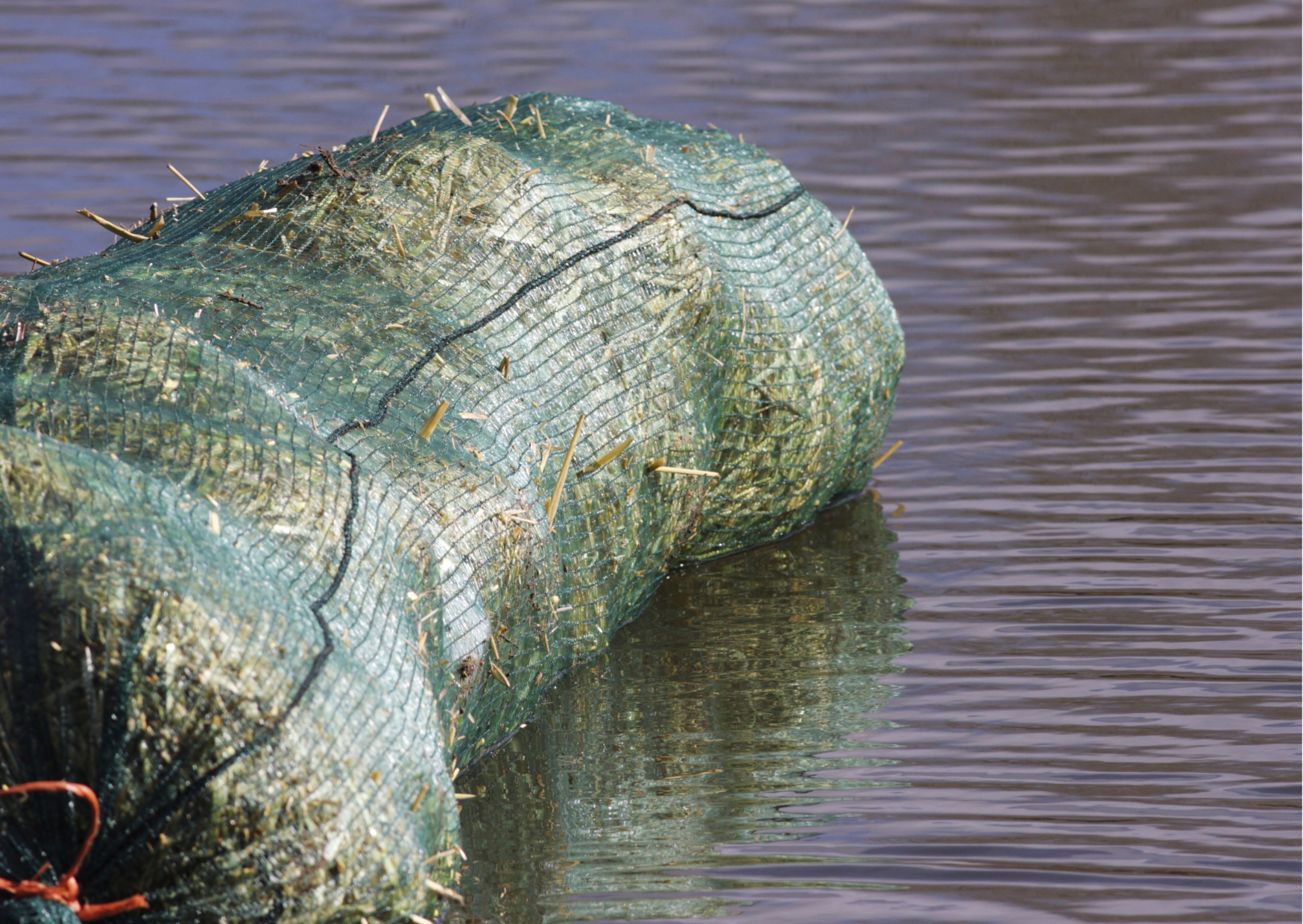 How to use Pond Barley Straw for Clear Pond Water