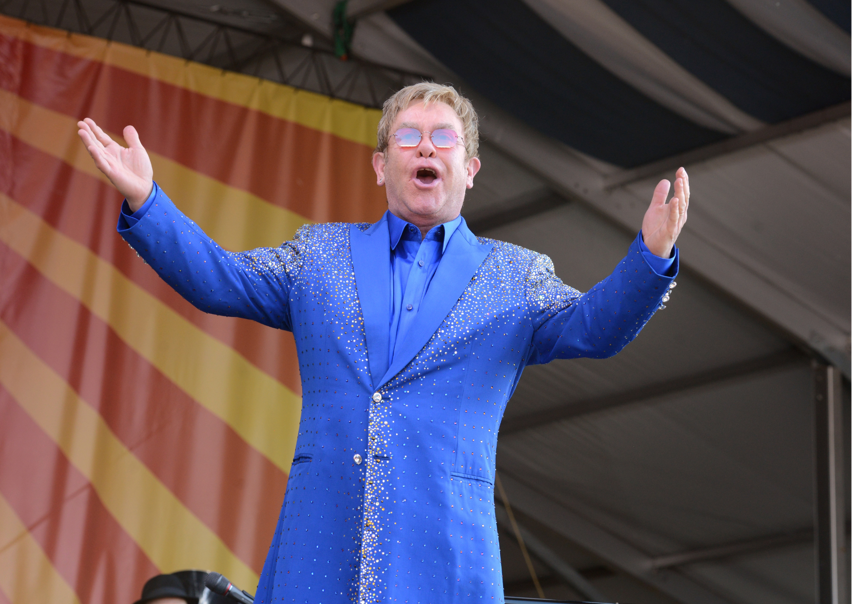 This is Your Shrimp | L. Eltoni