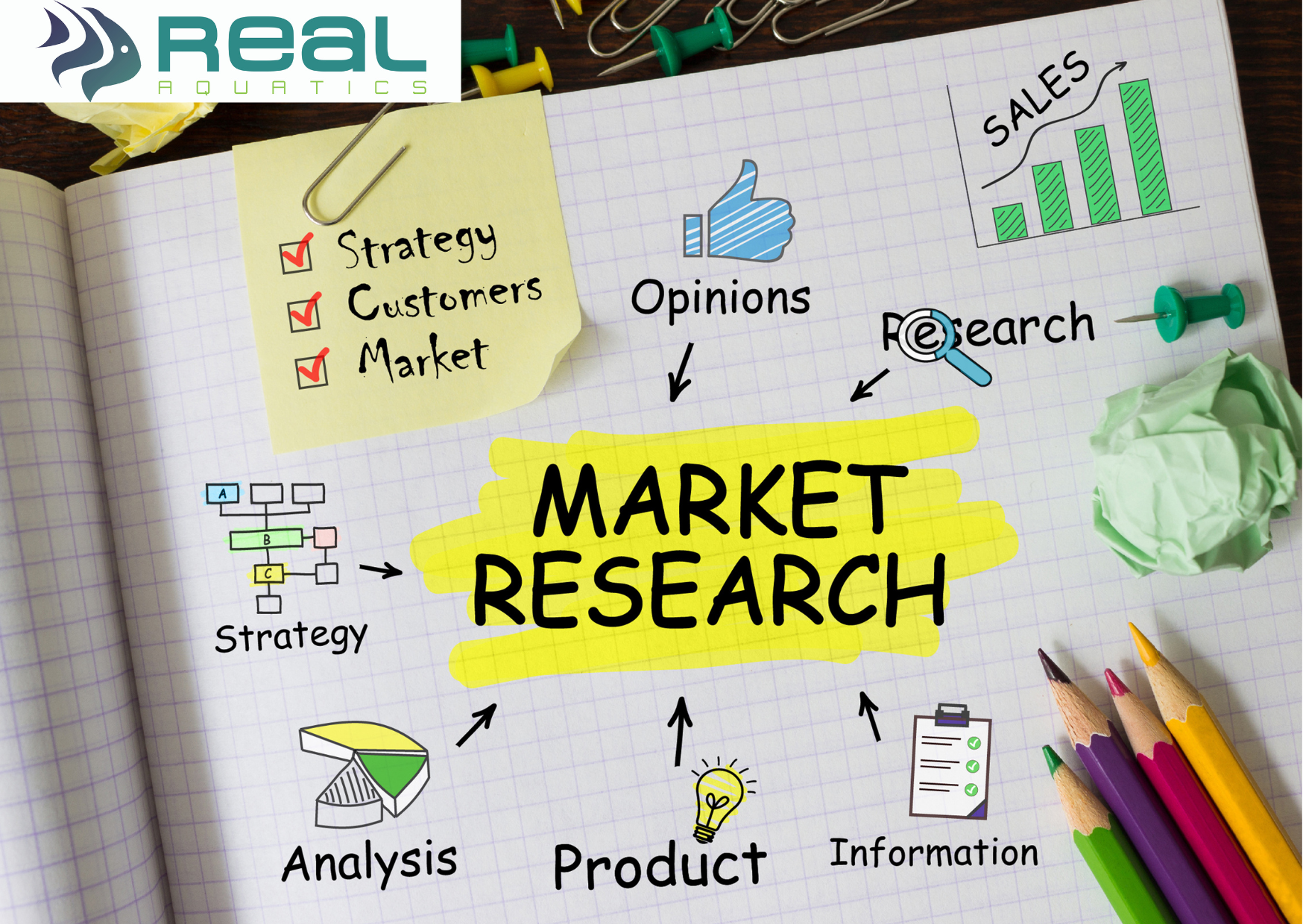 Market Research | What are we missing?