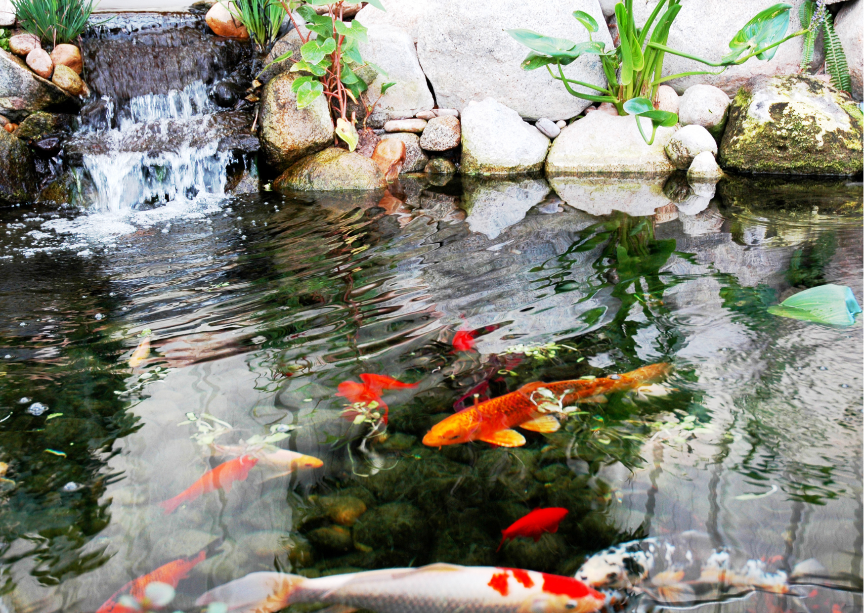 What Is a Pressurised Pond Filter?