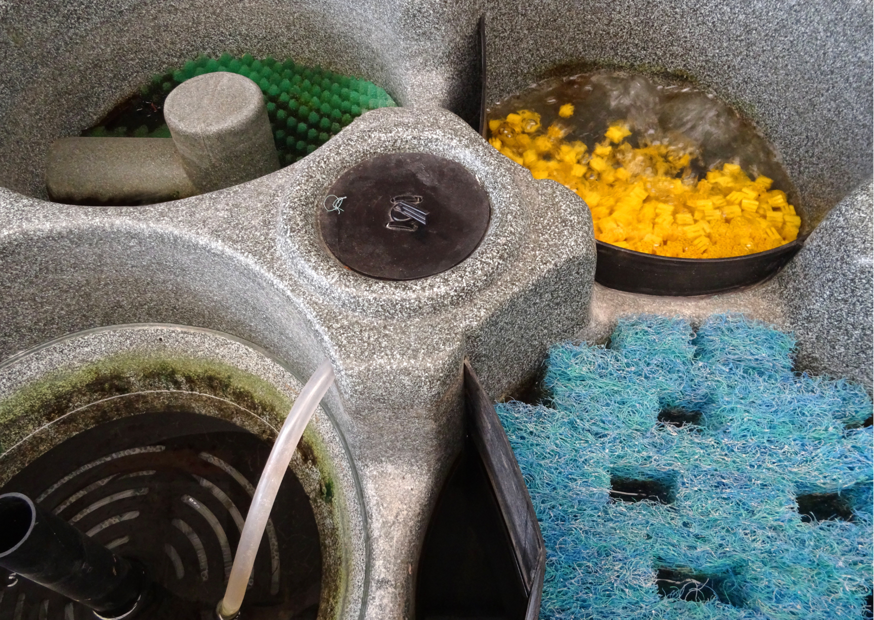 The Best Pond Drum Filters for 2024