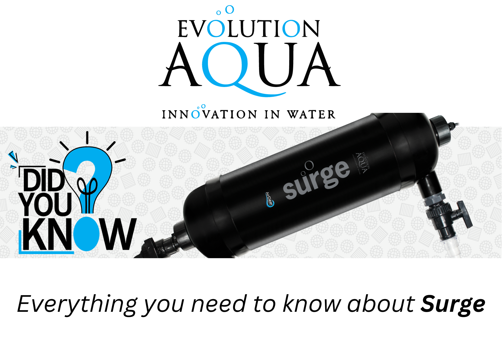 Evolution Aqua: Everything you need to know about Surge