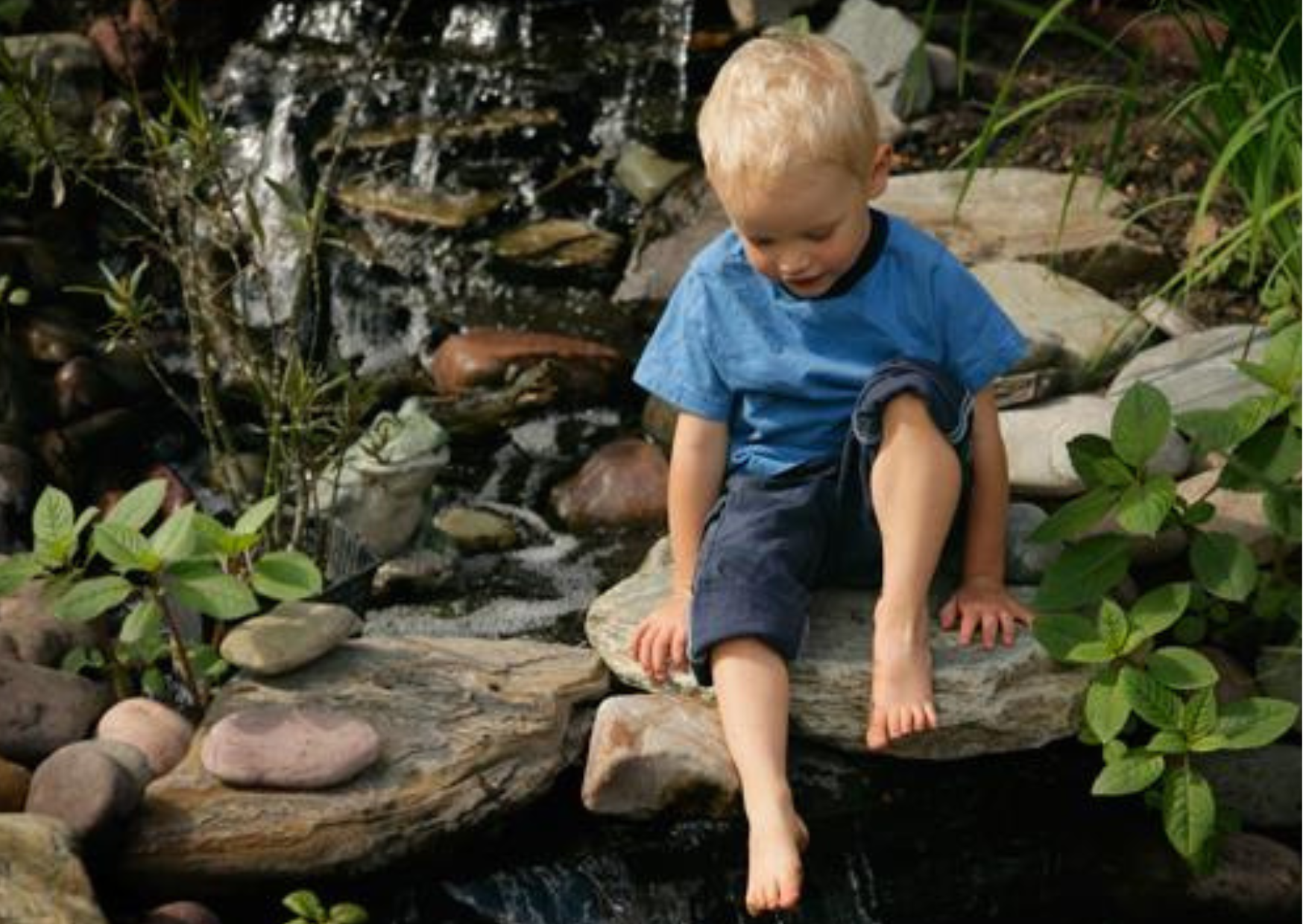 PondXpert Guide | How To Make A Pond Safe For Children