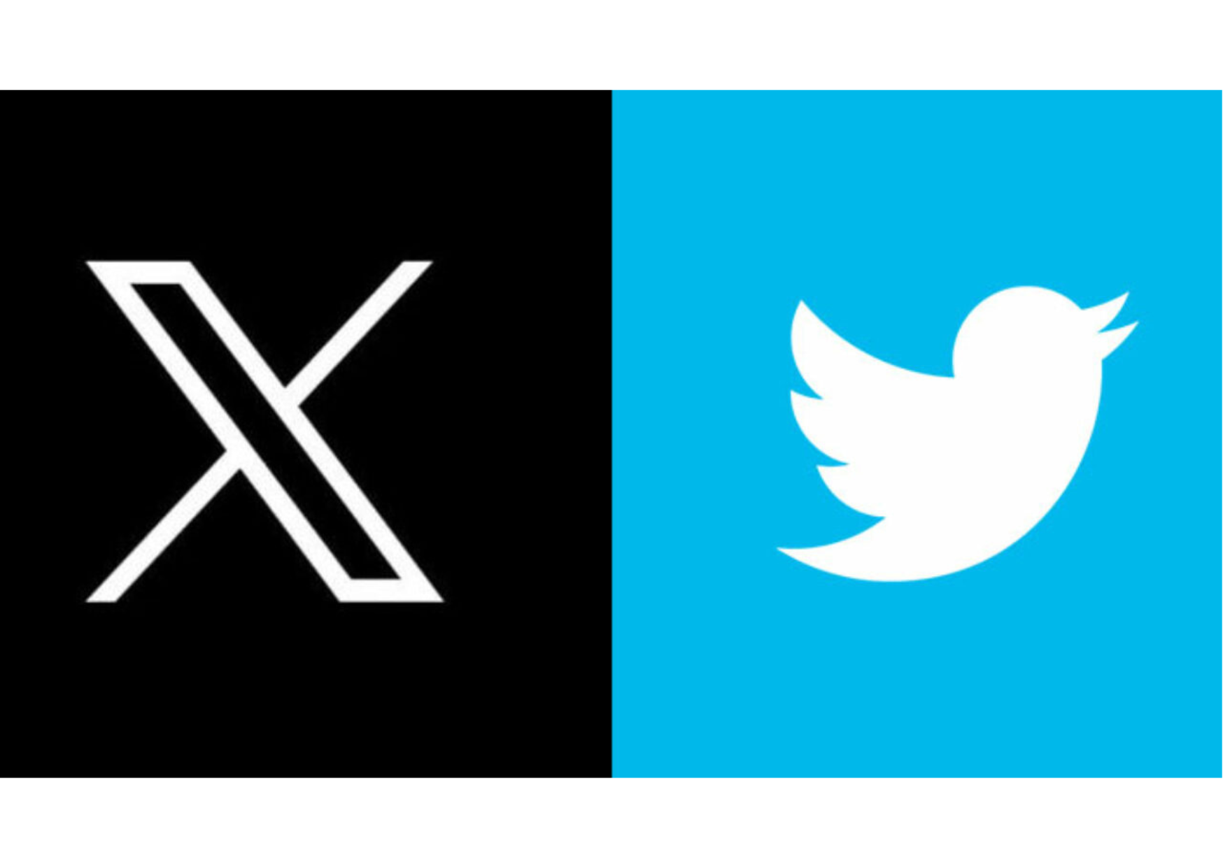 Did you know that we're also on X (formerly Twitter)?