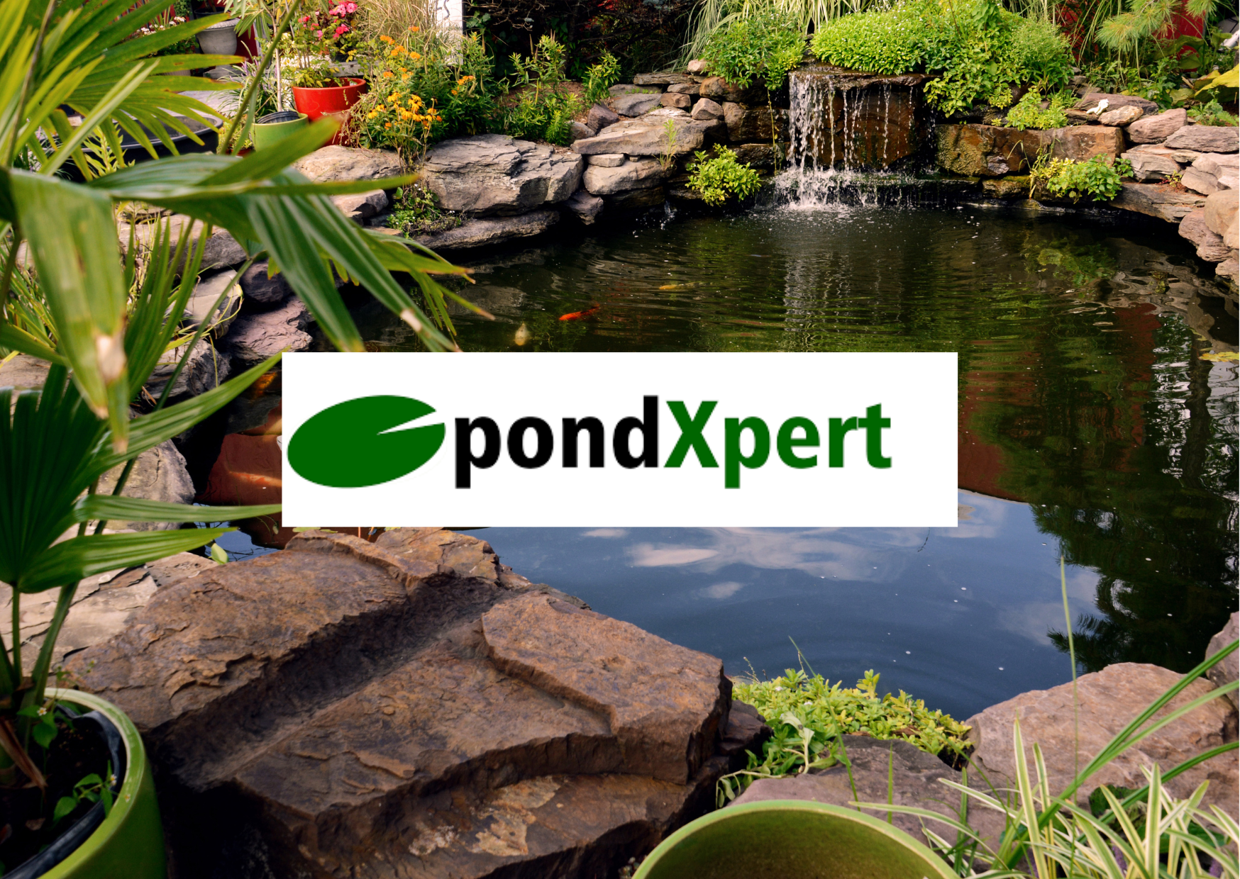 PondXpert Guide | How To De-Chlorinate Pond Water