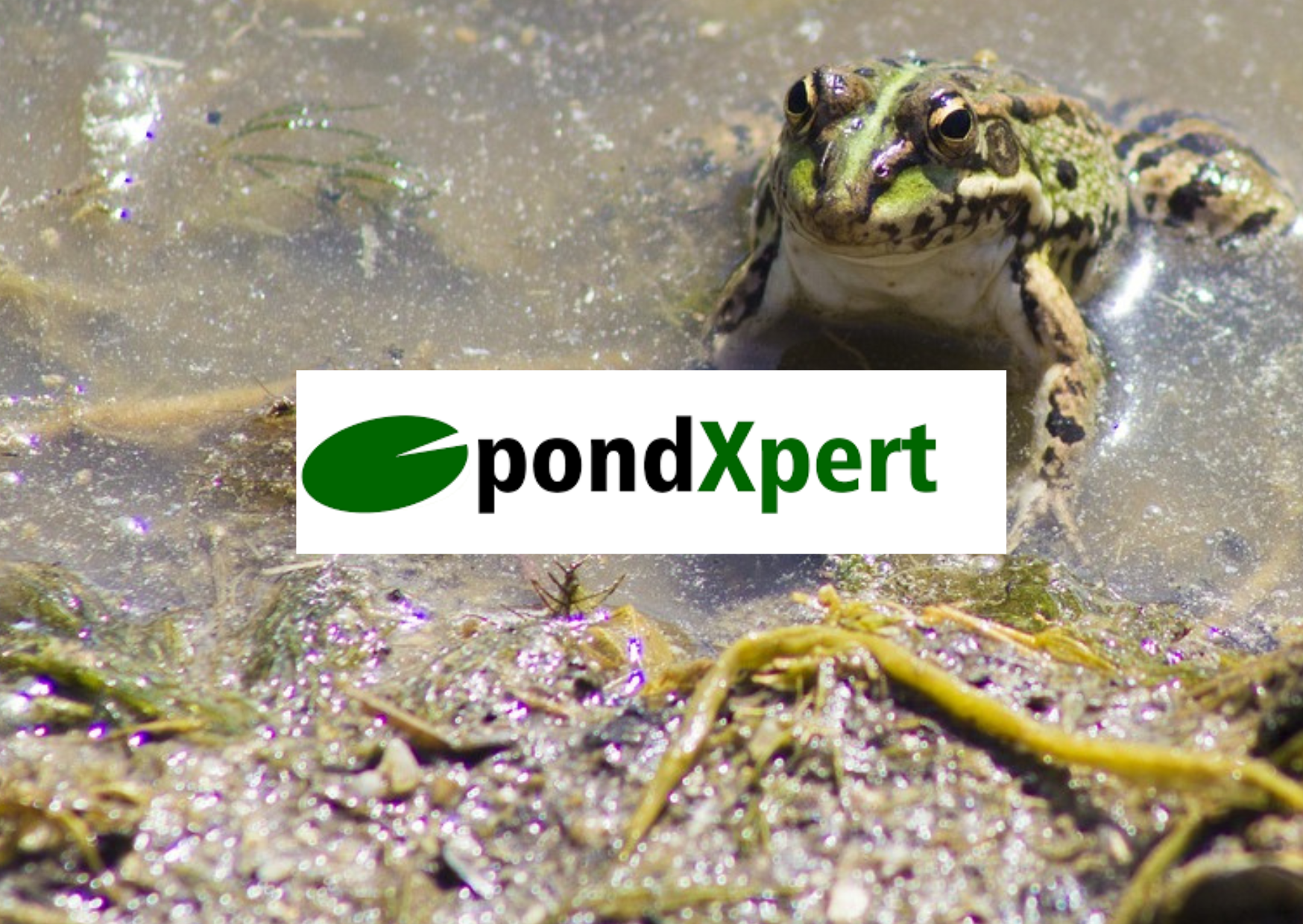 PondXpert Guide | Pond Cleaning