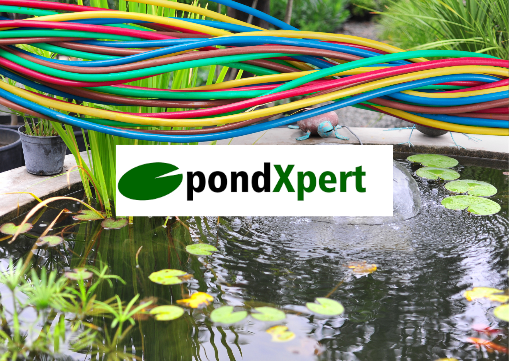 PondXpert Guides | Pond Electrics