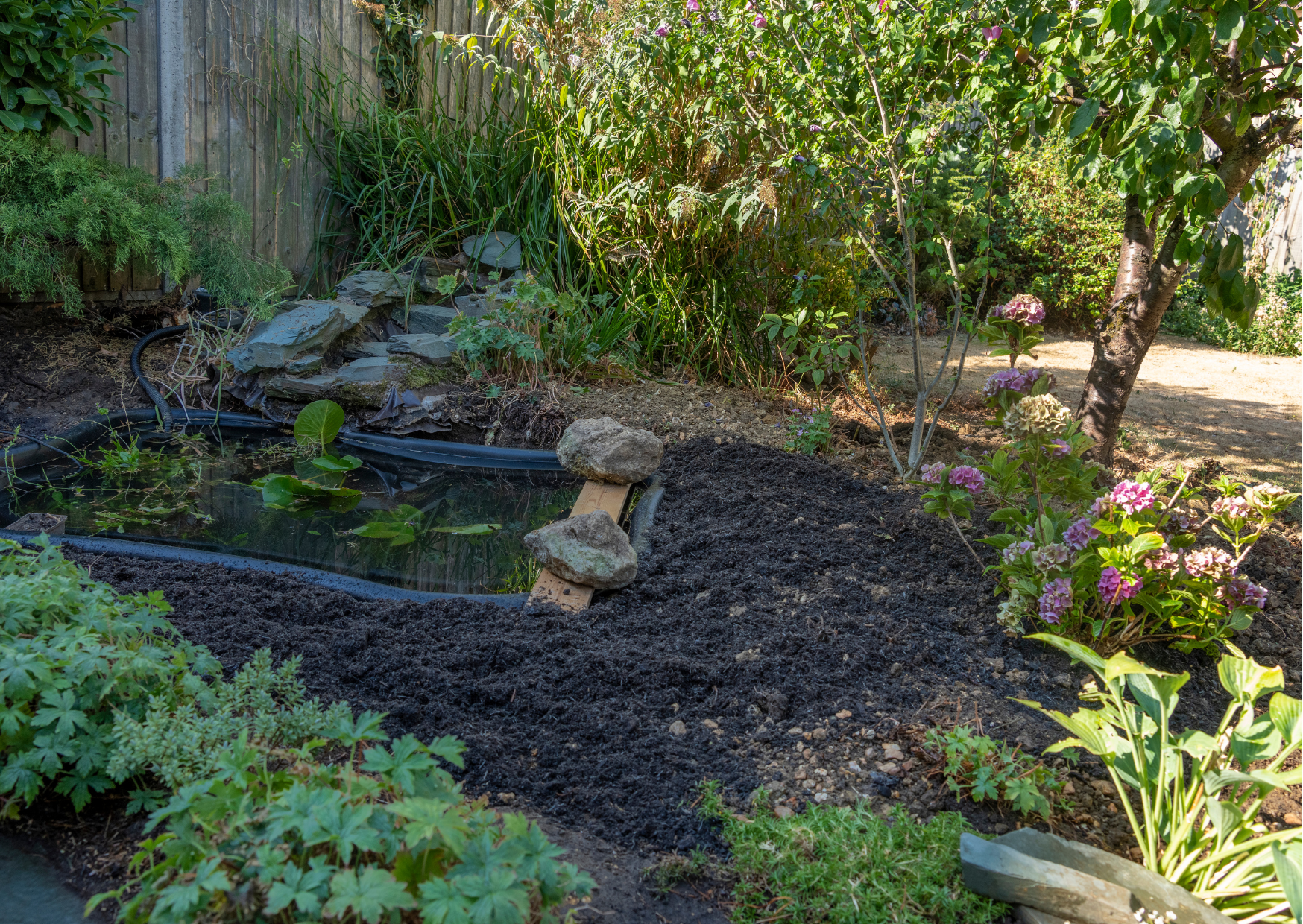 The Best Pre-Formed Ponds for 2024