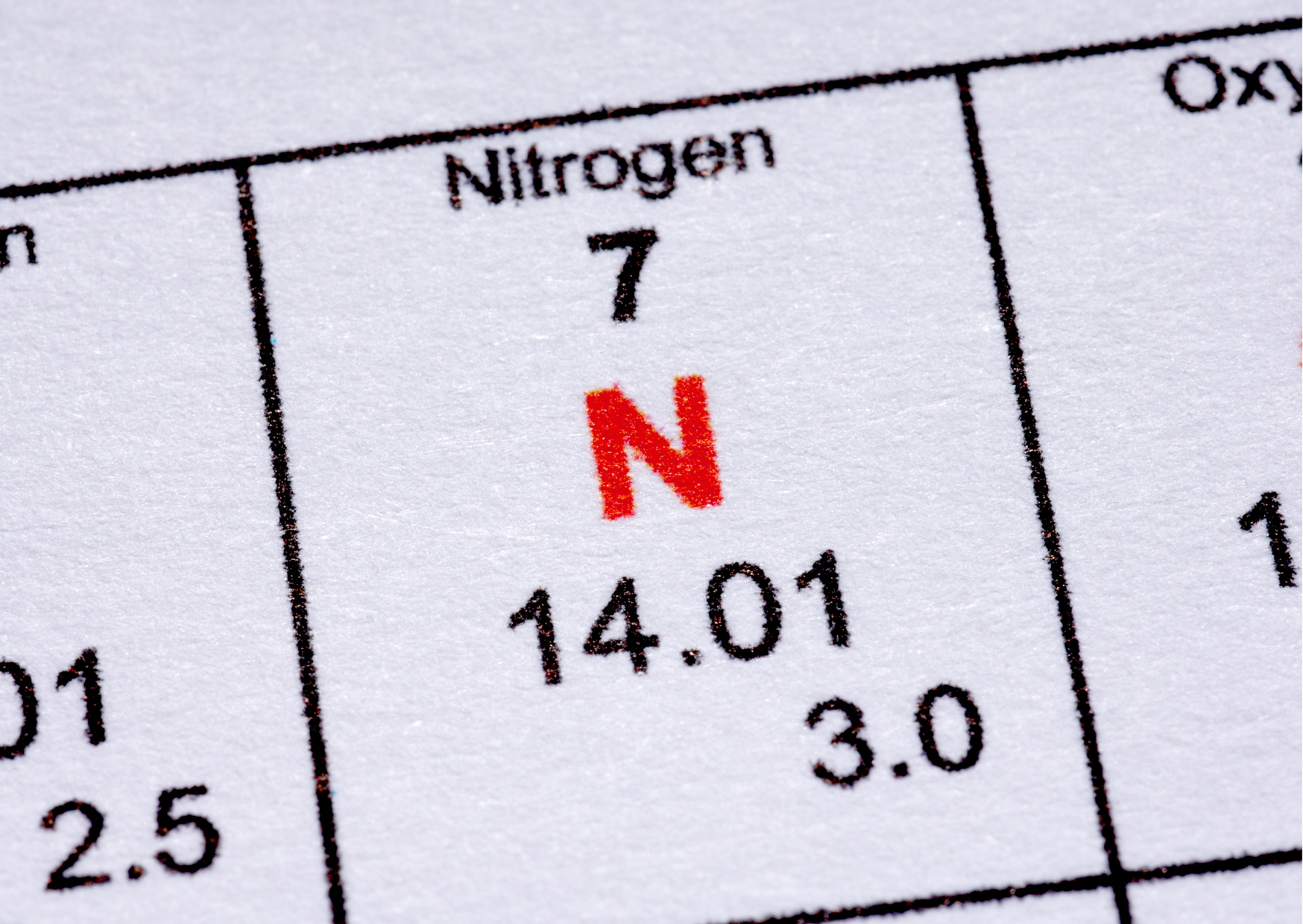 Waterlife: The Nitrogen Cycle Explained