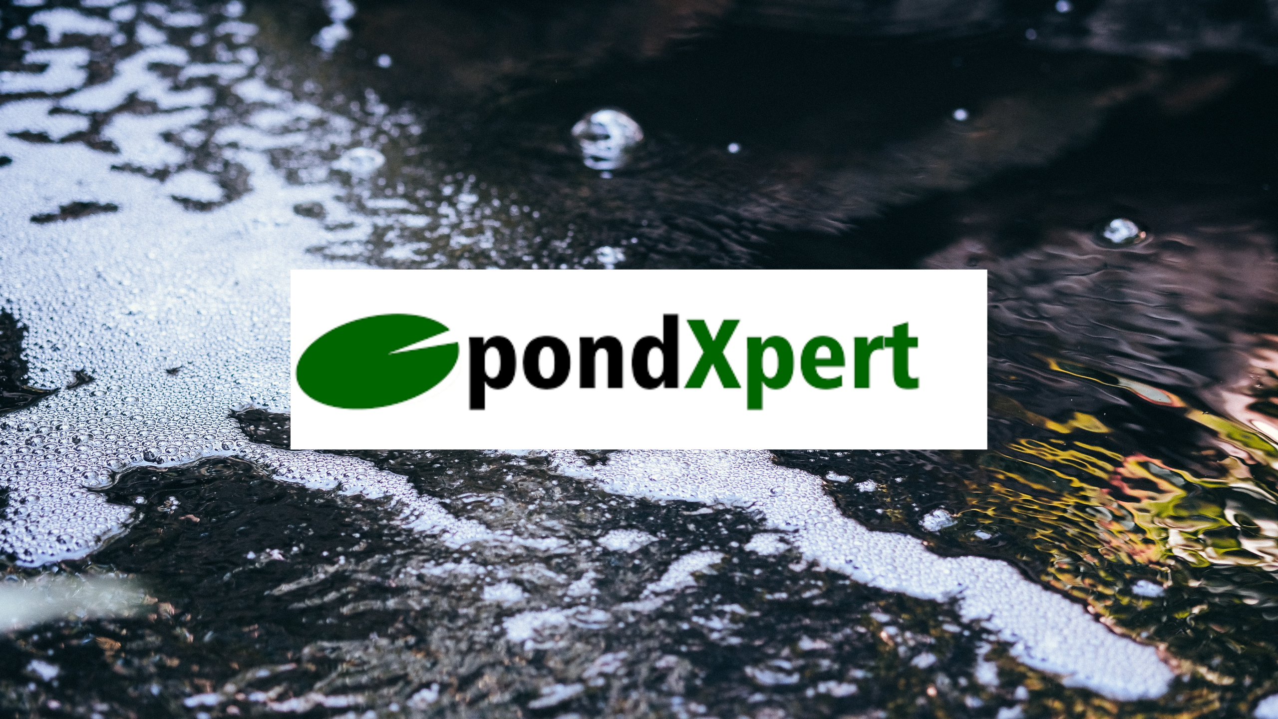 PondXpert Guide: Aerating your Pond using an Air Pump