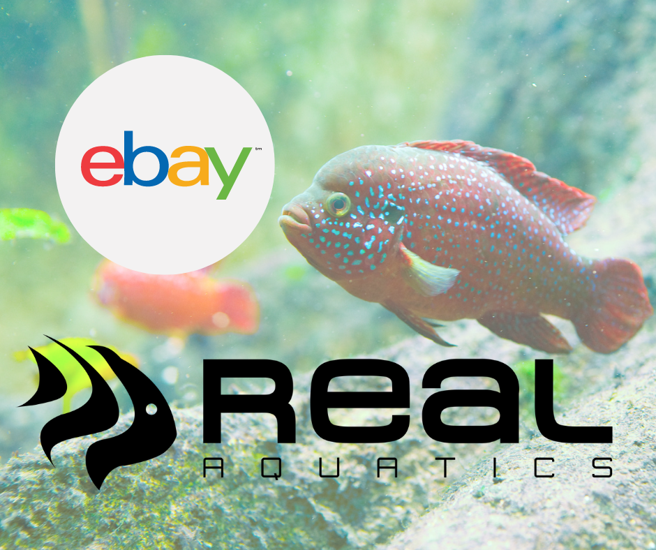 Did you know we also sell on eBay?