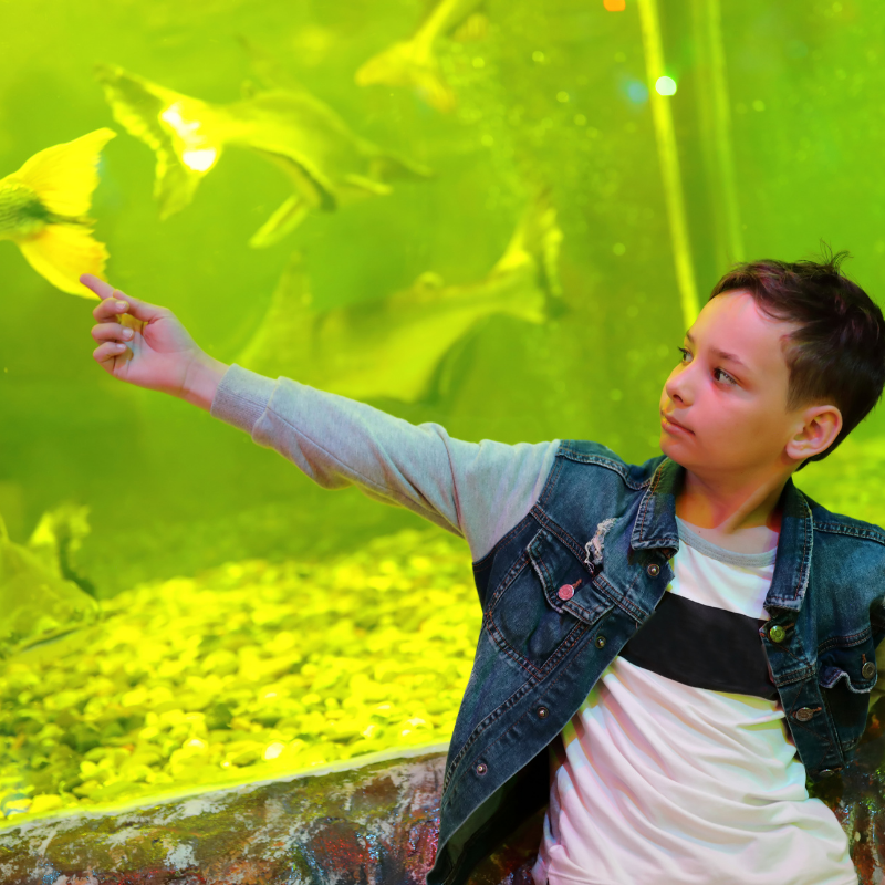 Are aquariums good for kids?